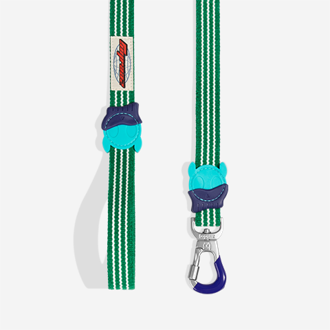 Correa para Perros Velvet Vibes Vert