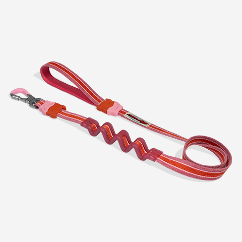 Correa Ruff con Amortiguador para Perros Velvet Vibes Courtney