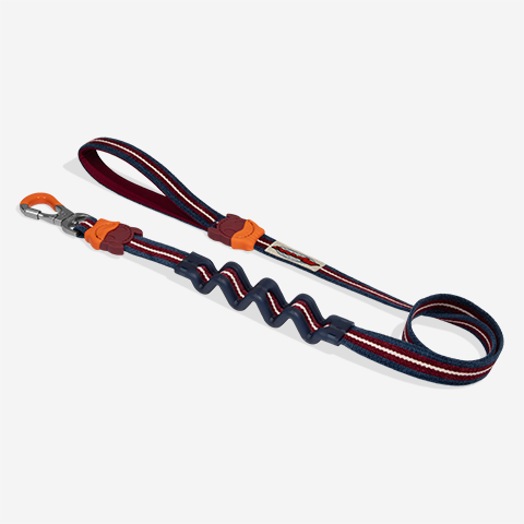 Correa Ruff con Amortiguador para Perros Velvet Vibes Dropout