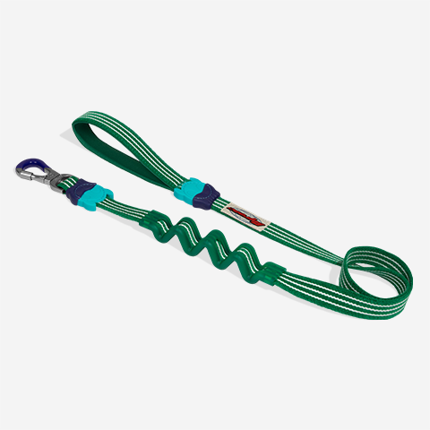 Correa Ruff con Amortiguador para Perros Velvet Vibes Vert