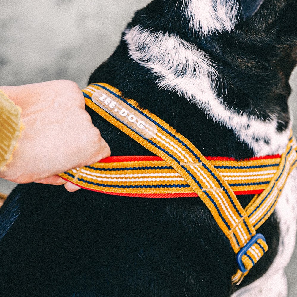 Arnés SofterWalk para Perros Jaladores Velvet Vibes Misfit