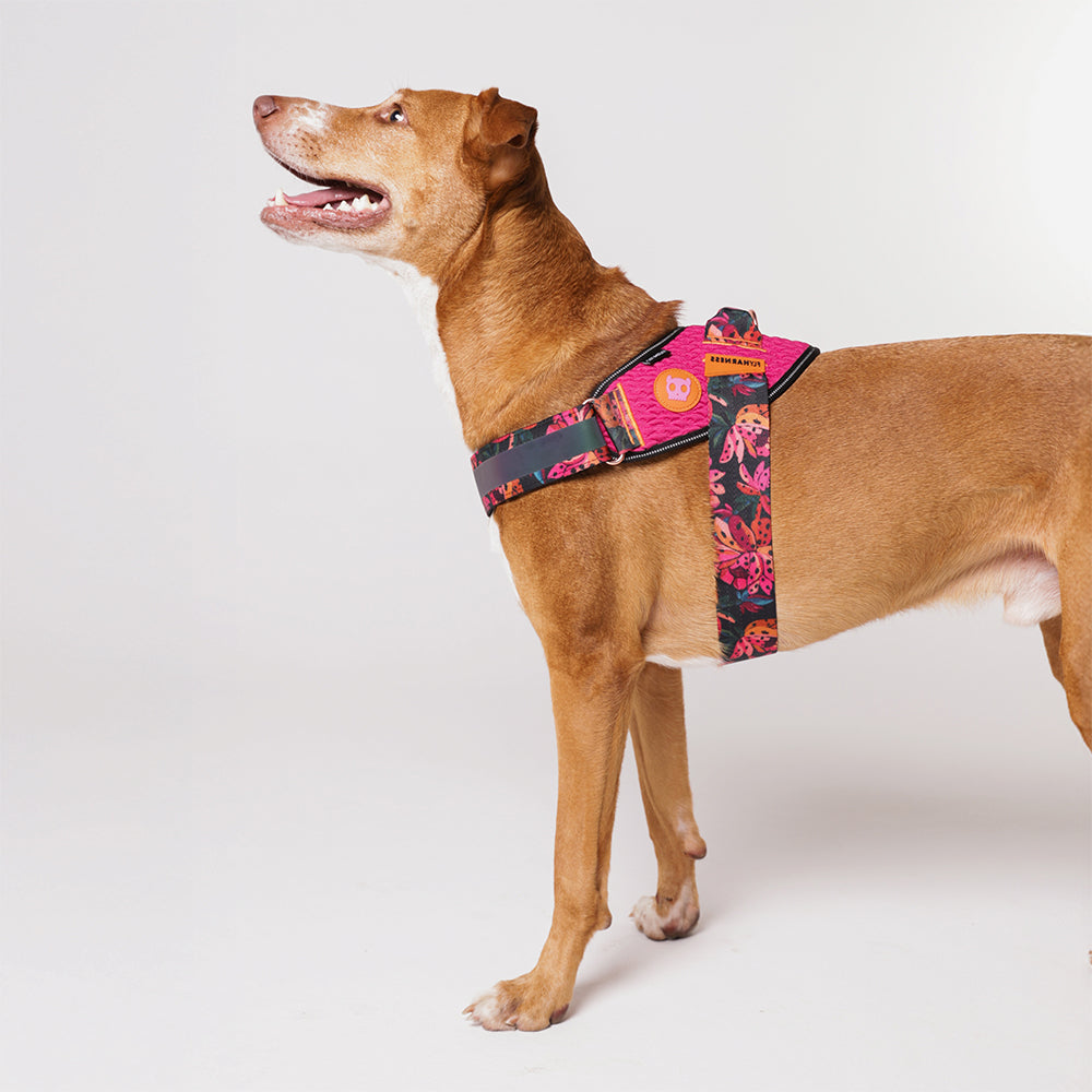 Pechera FlyHarness para Perros FARM Rio Selva