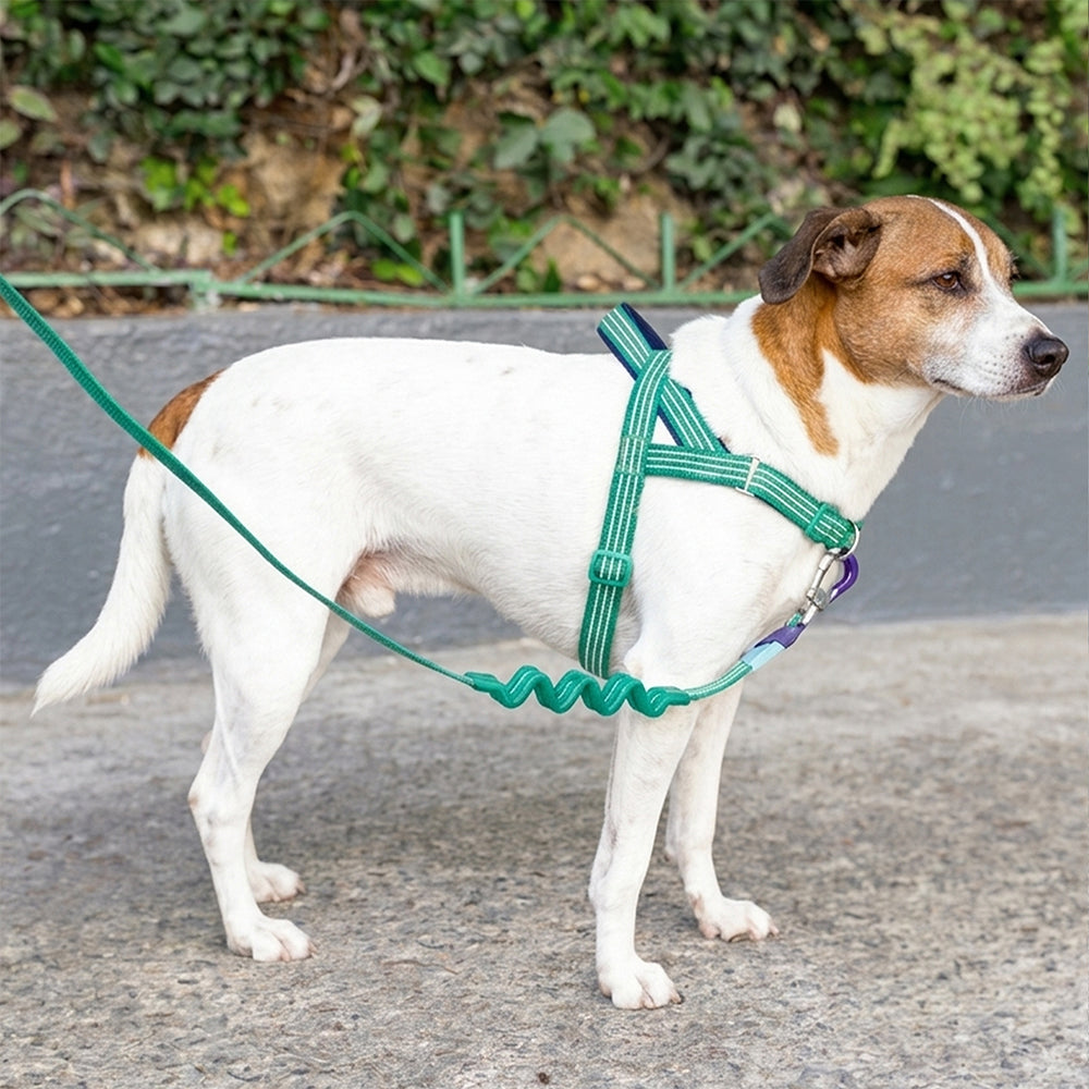 Arnés SofterWalk para Perros Jaladores Velvet Vibes Vert