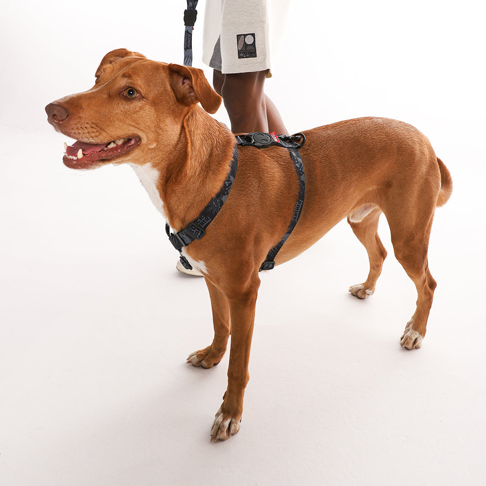 H-Harness para Perros Marvel Black Panther