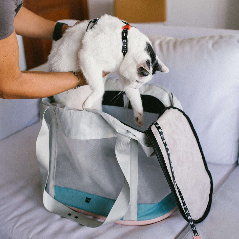Bolso de Transporte Para Gatos Kombucha