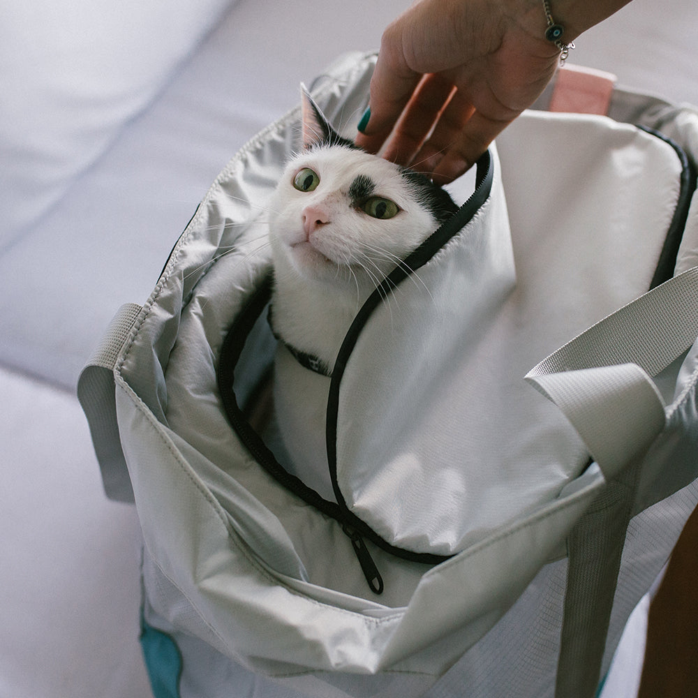 Bolso de Transporte Para Gatos Kombucha