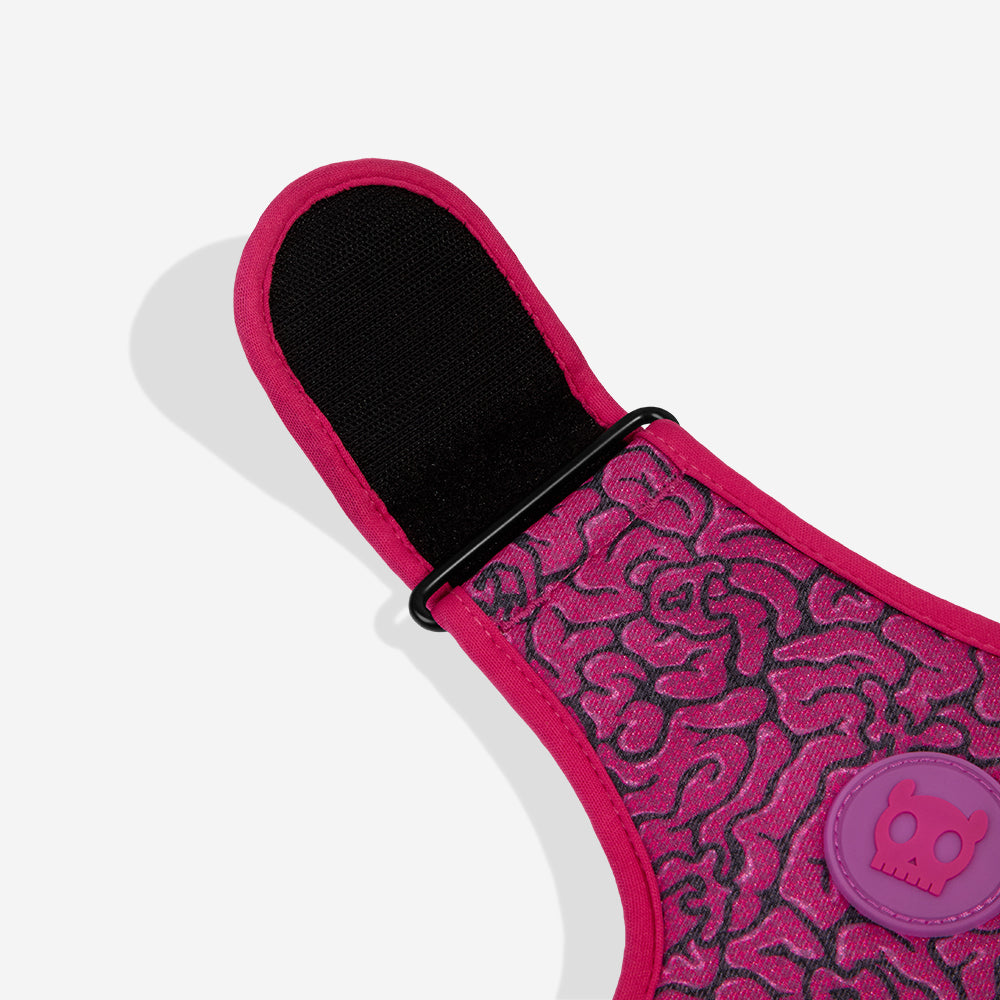 Pechera Air Mesh Ajustable para Perros Brain