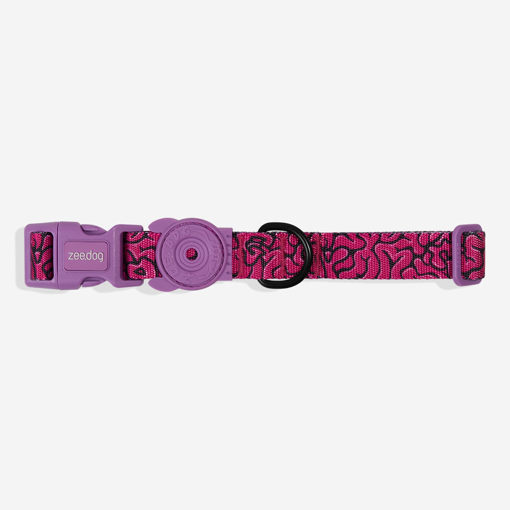 Collar para Perros Brain