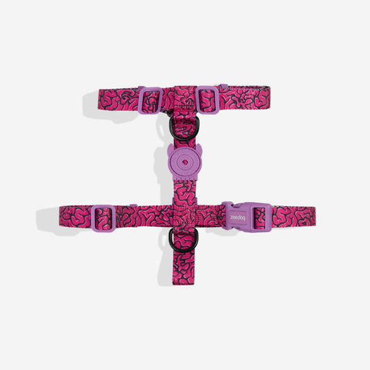 H-Harness para Perros Brain