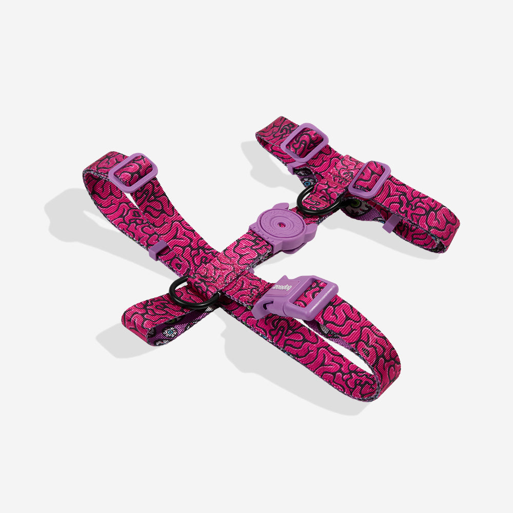 H-Harness para Perros Brain