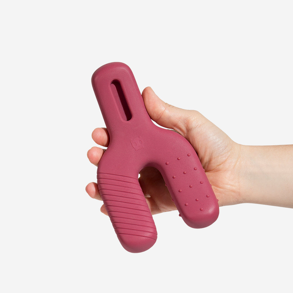 Juguete para Perros Wishbone