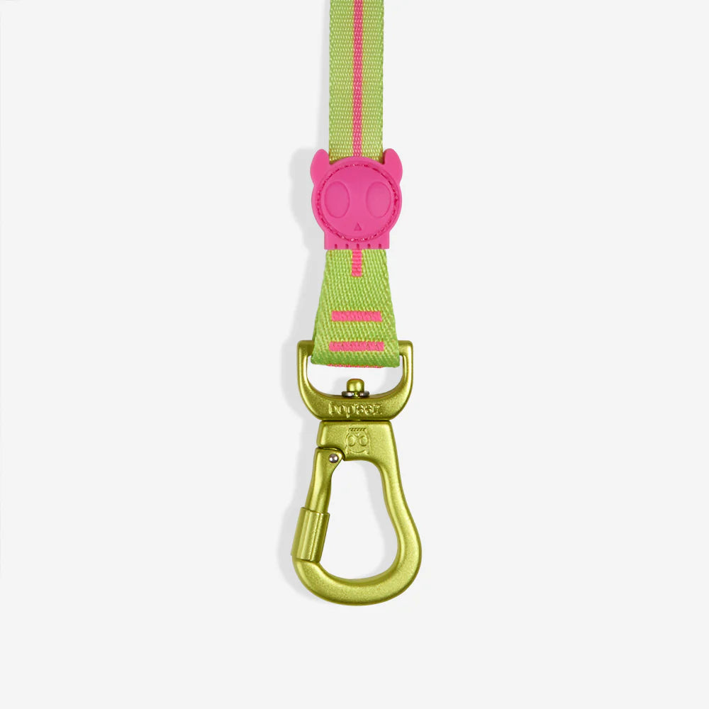 Correa Long para Perros CMYK