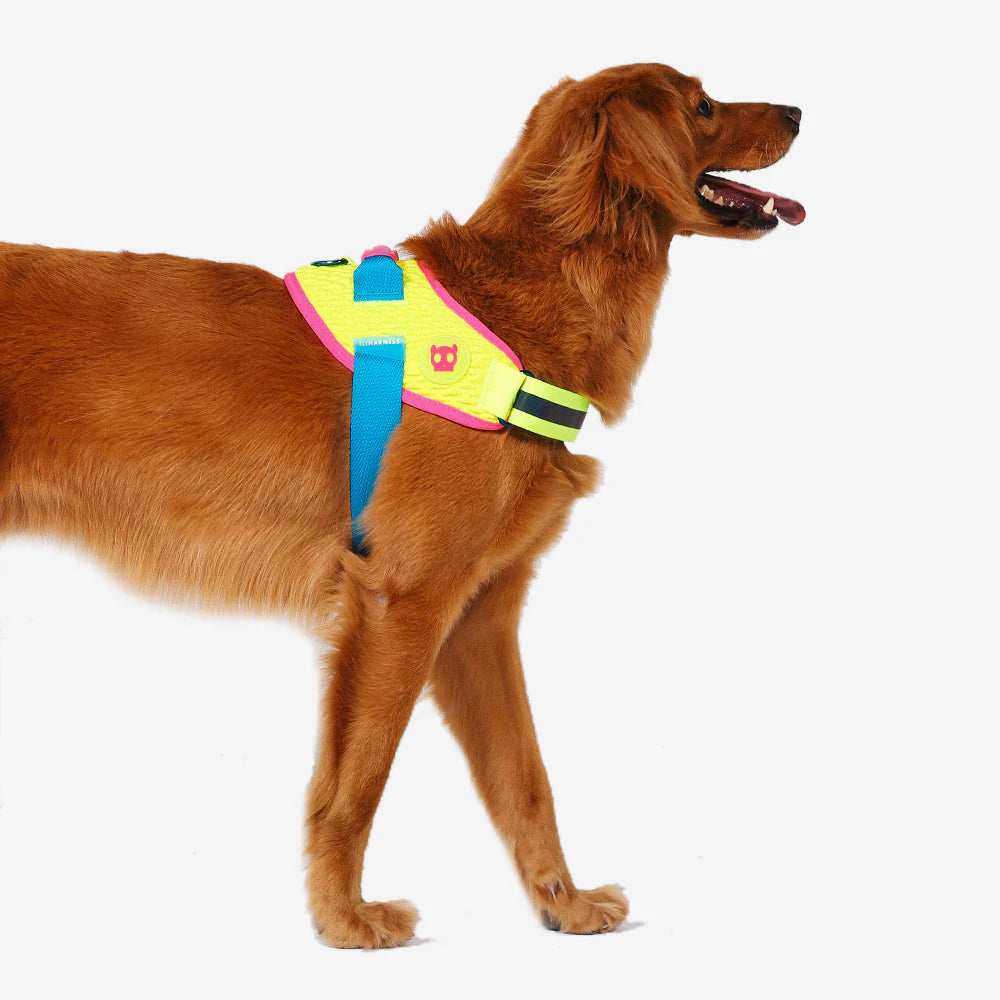 Pechera FlyHarness para Perros CMYK