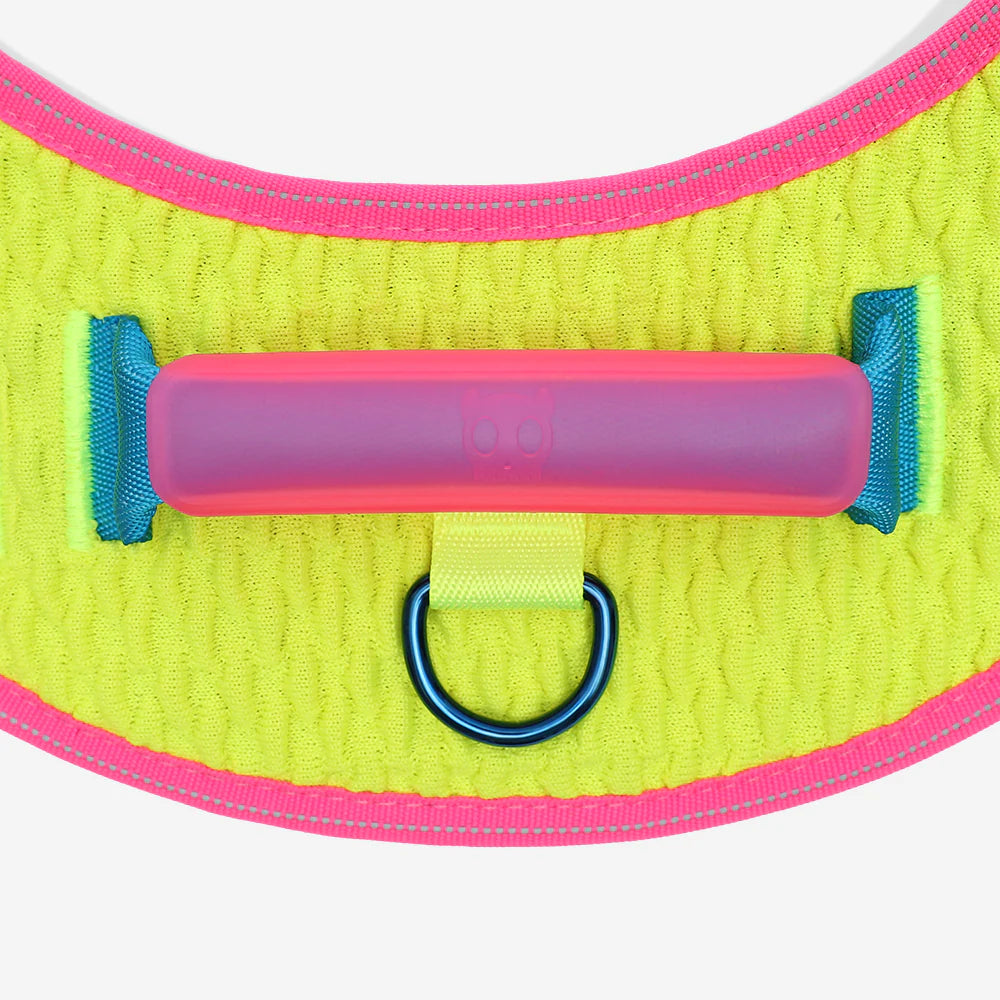 Pechera FlyHarness para Perros CMYK