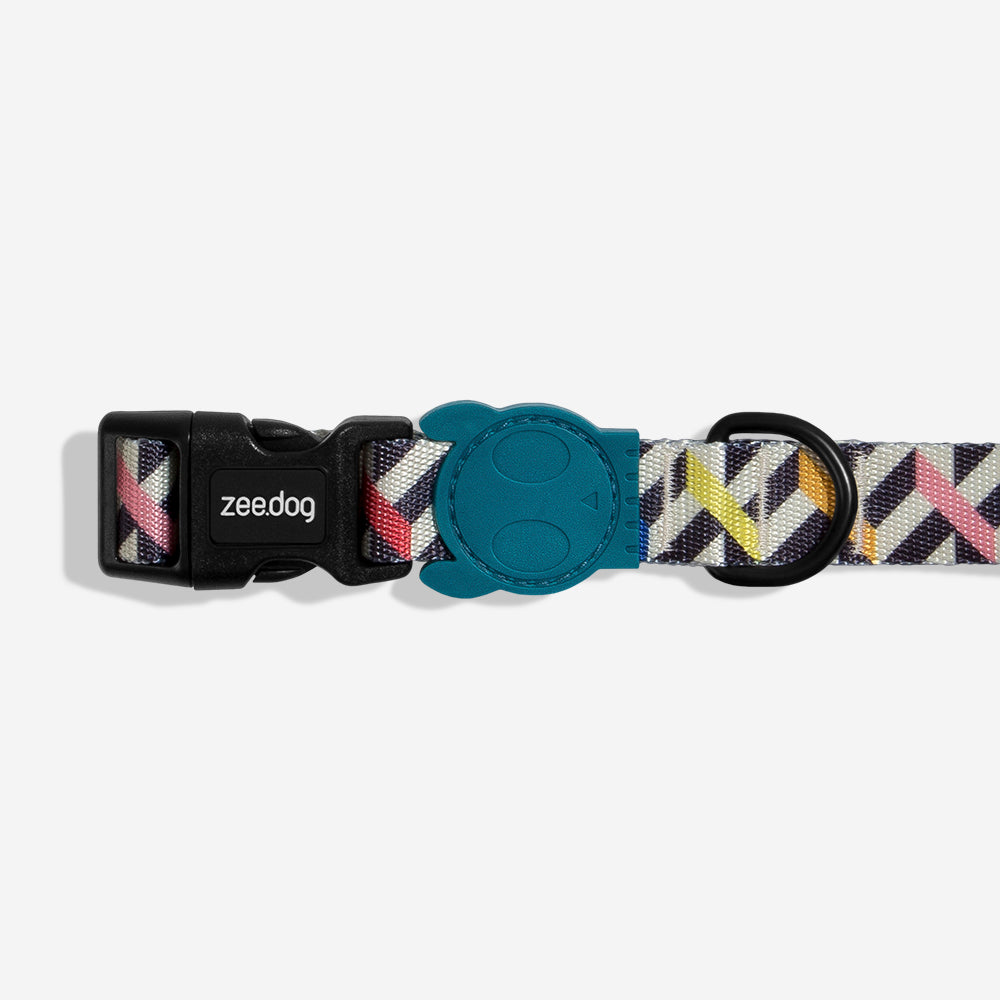 Collar para Perros Fritz