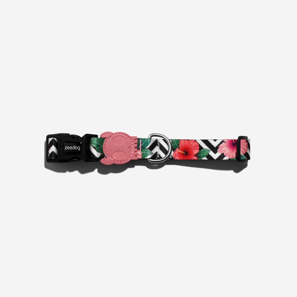 Collar para Perros Mahalo