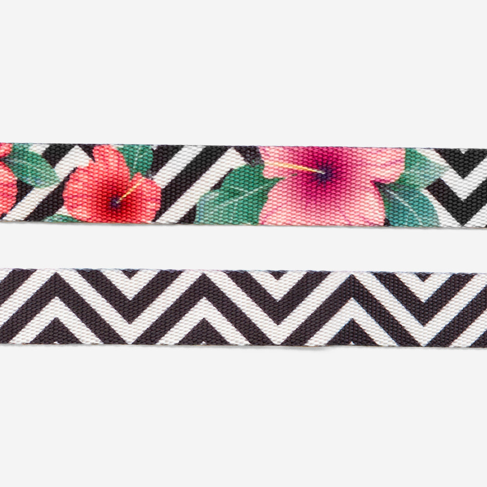 Collar para Perros Mahalo