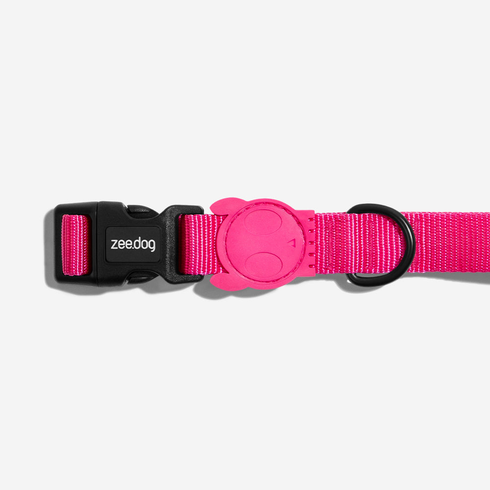 Collar para Perros Pink Led