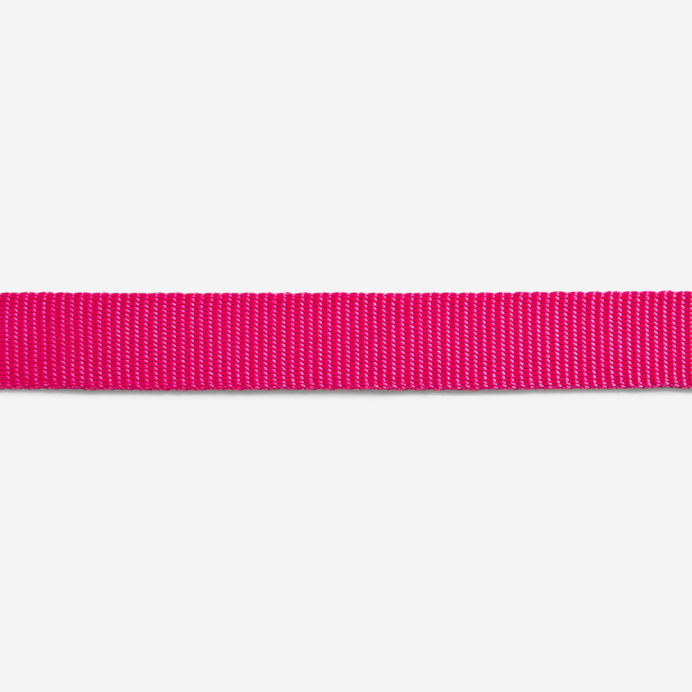 Collar para Gatos Pink Led