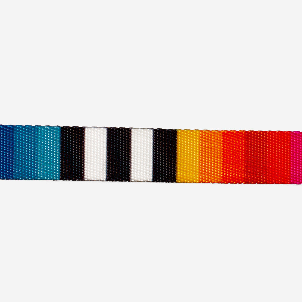 Collar para Gatos Prisma