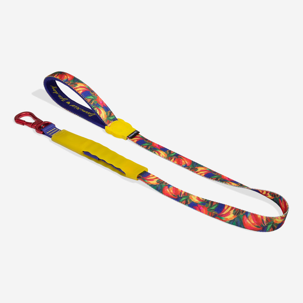 Correa Amortiguada Airleash para Perros FARM Rio Samba