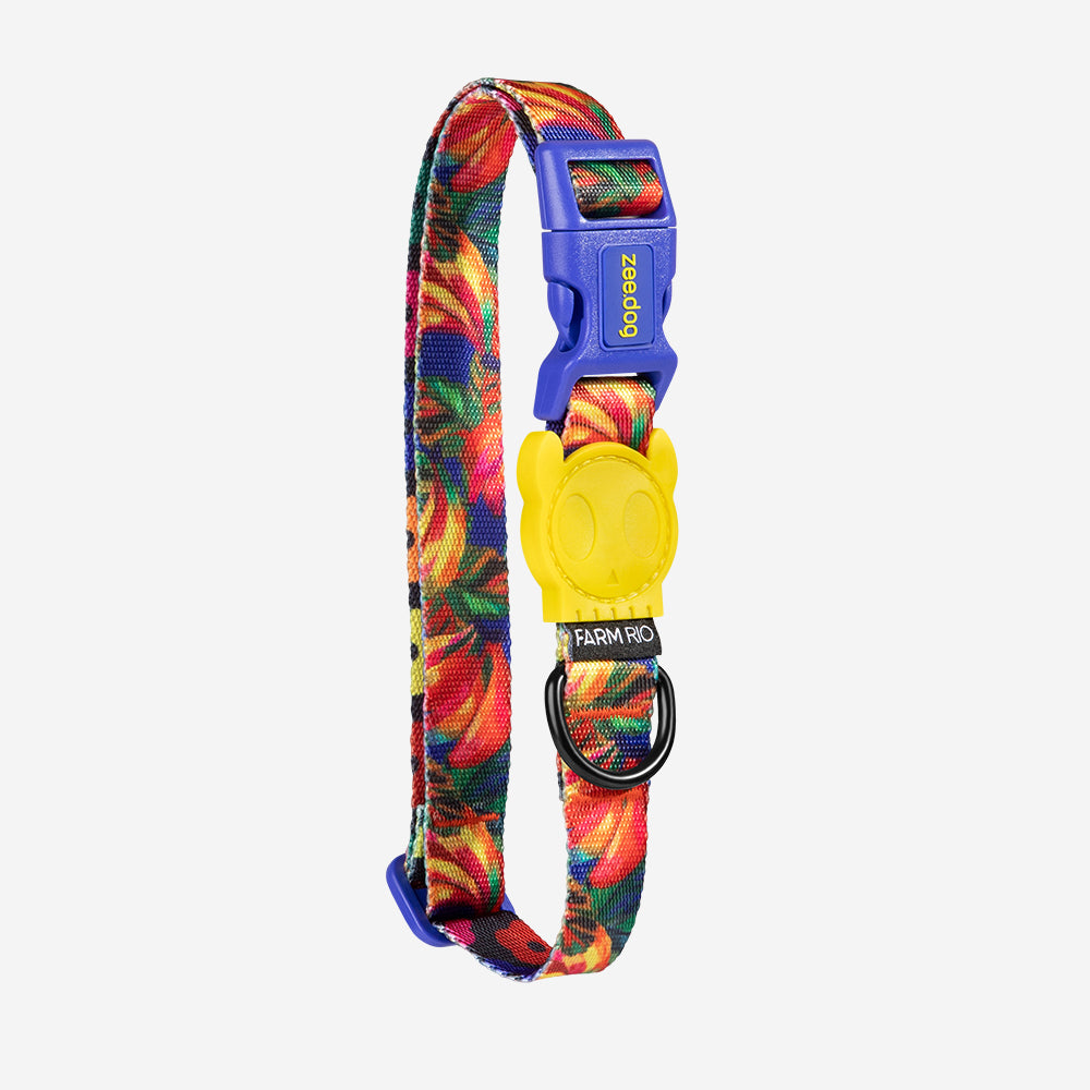 Collar para Perros FARM Rio Samba