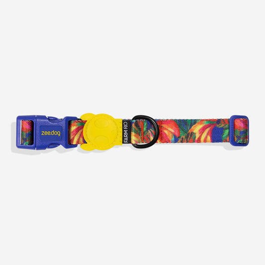 Collar para Perros FARM Rio Samba