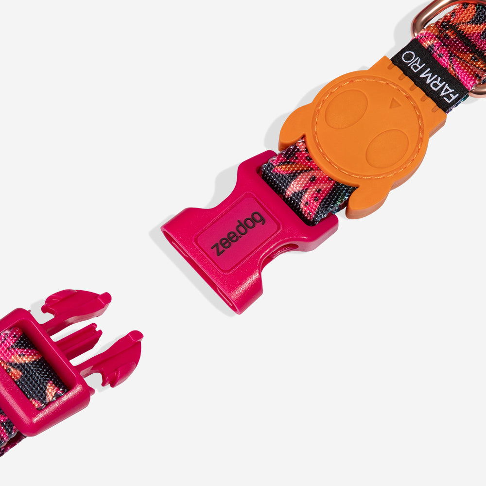 Collar para Perros FARM Rio Selva
