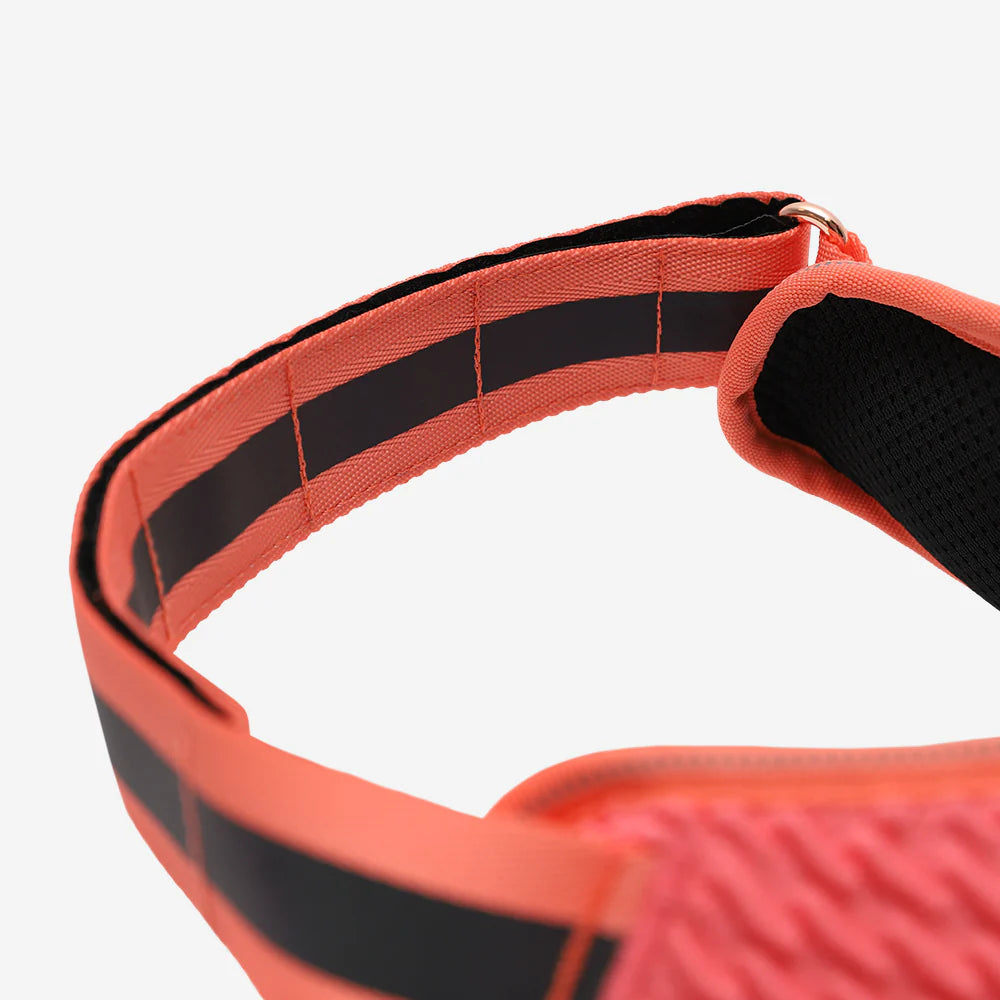 Pechera FlyHarness para Perros Gazelle