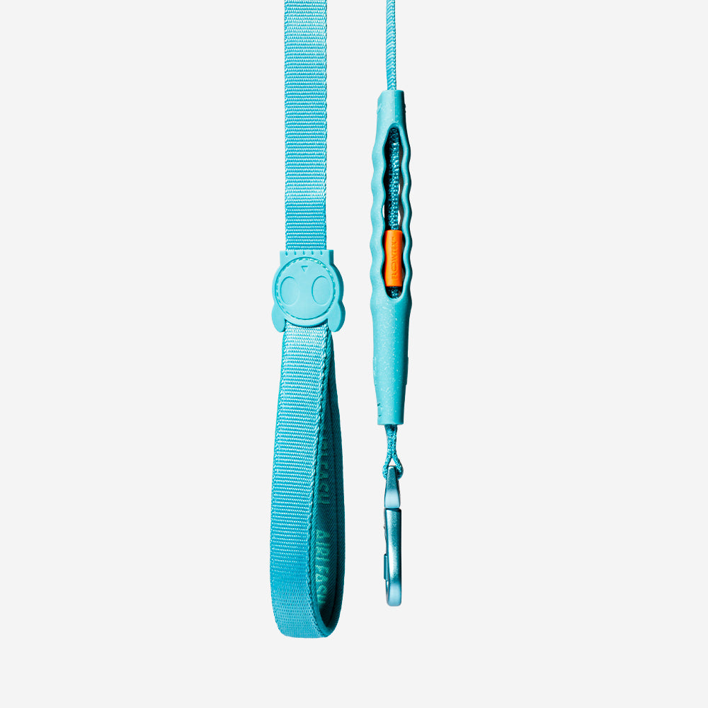 Correa Amortiguada Airleash para Perros Blue