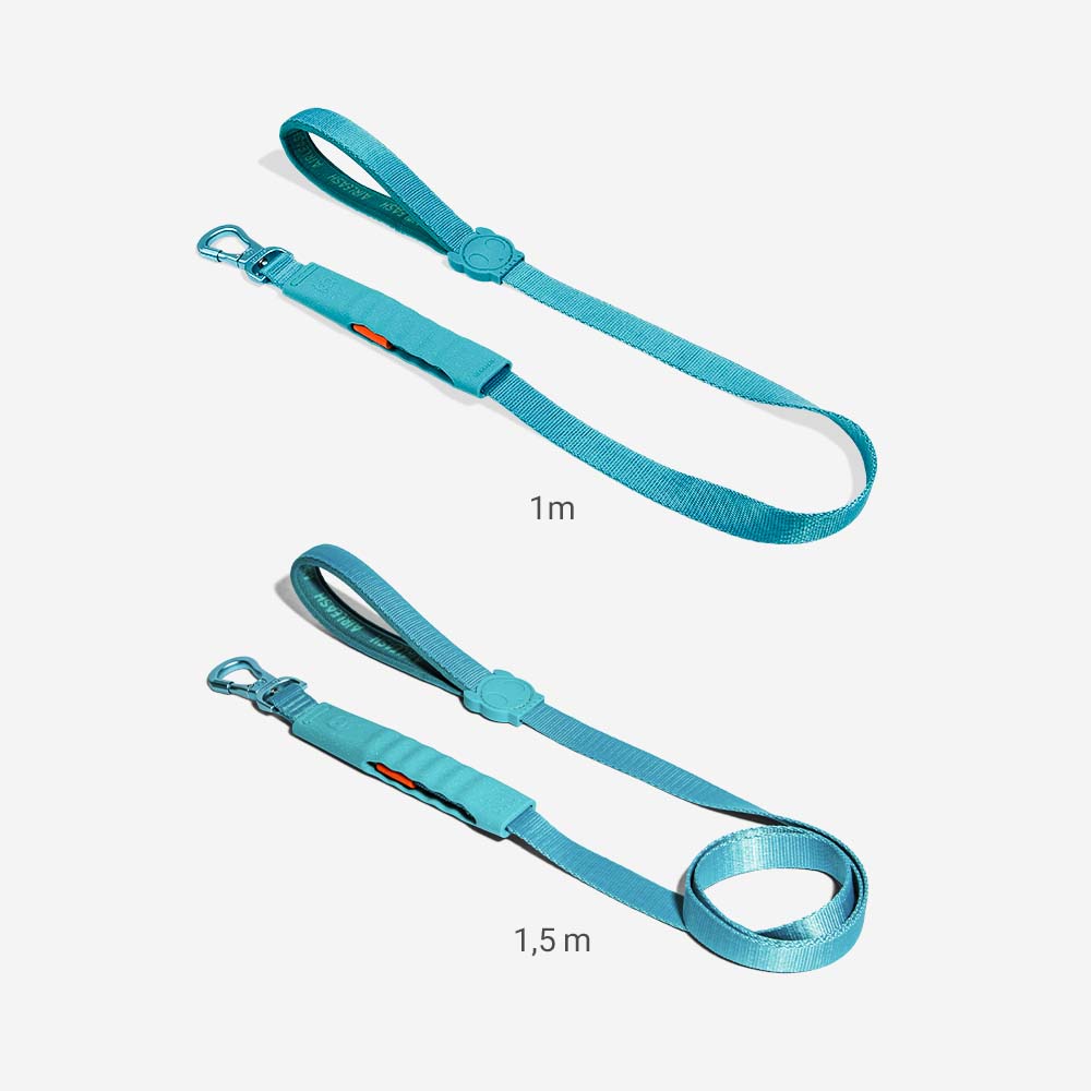 Correa Amortiguada Airleash para Perros Blue