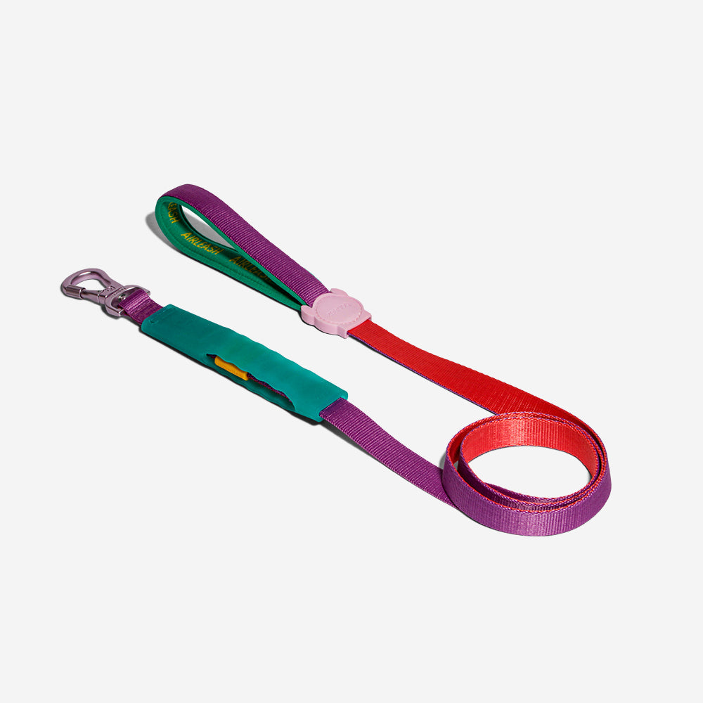 Correa Amortiguada Airleash para Perros Cali Dos