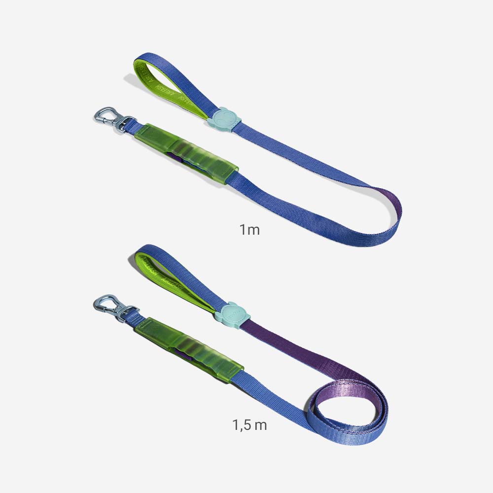 Correa Amortiguada Airleash para Perros Cali Uno