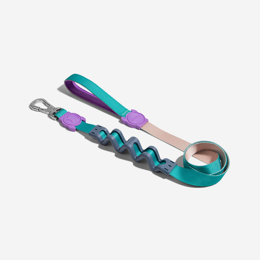 Correa Ruff con Amortiguador para Perros Boogie