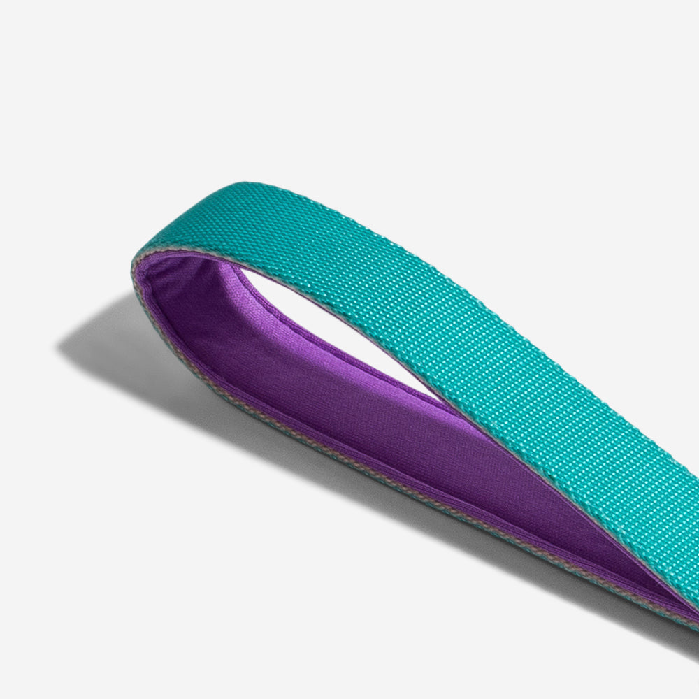 Correa Ruff con Amortiguador para Perros Boogie