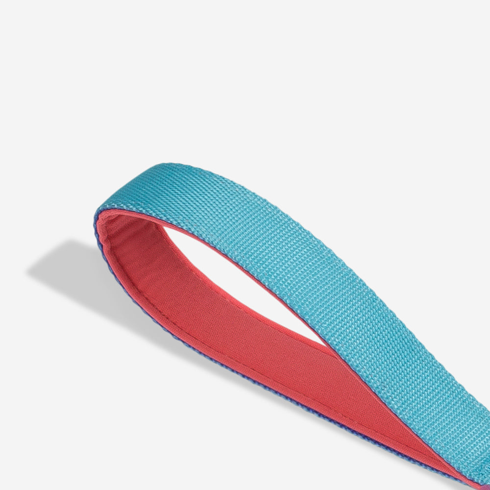 Correa Ruff con Amortiguador para Perros Hydra