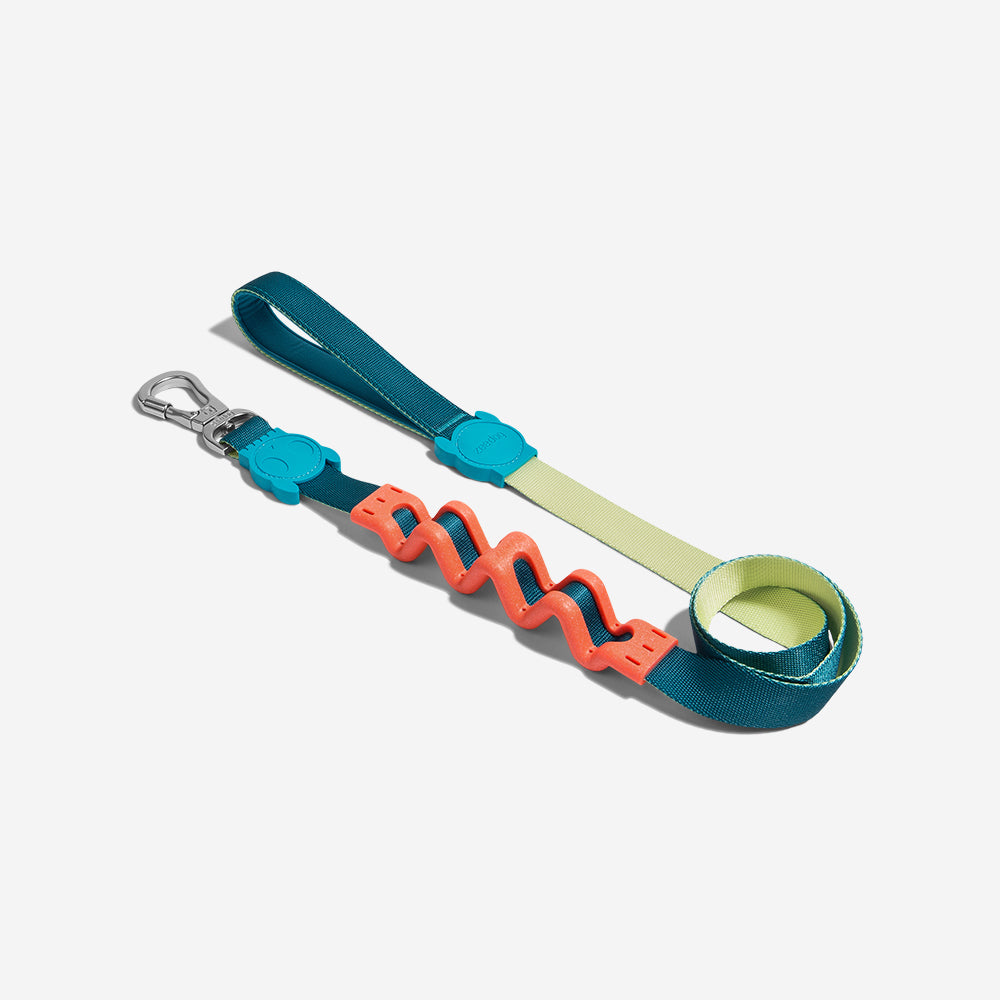 Correa Ruff con Amortiguador para Perros Jumper