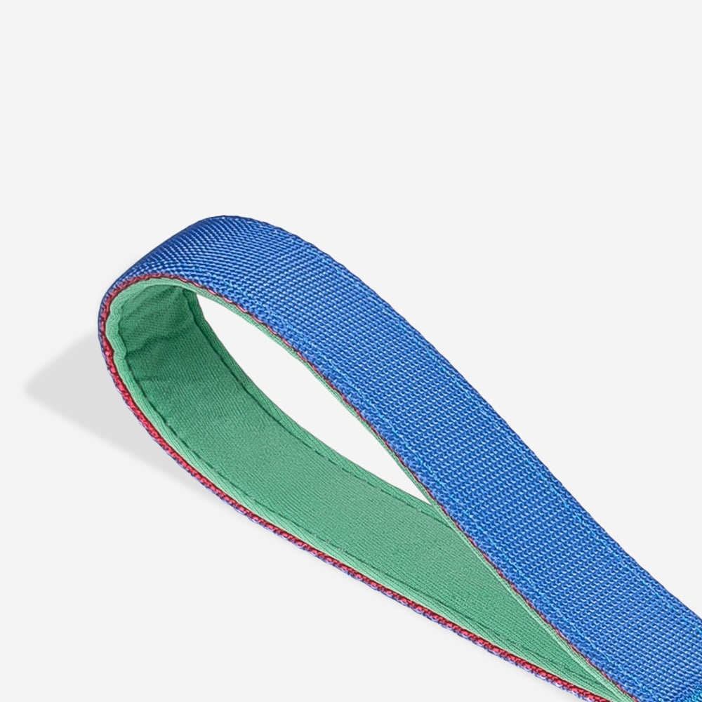 Correa Ruff con Amortiguador para Perros Mellow