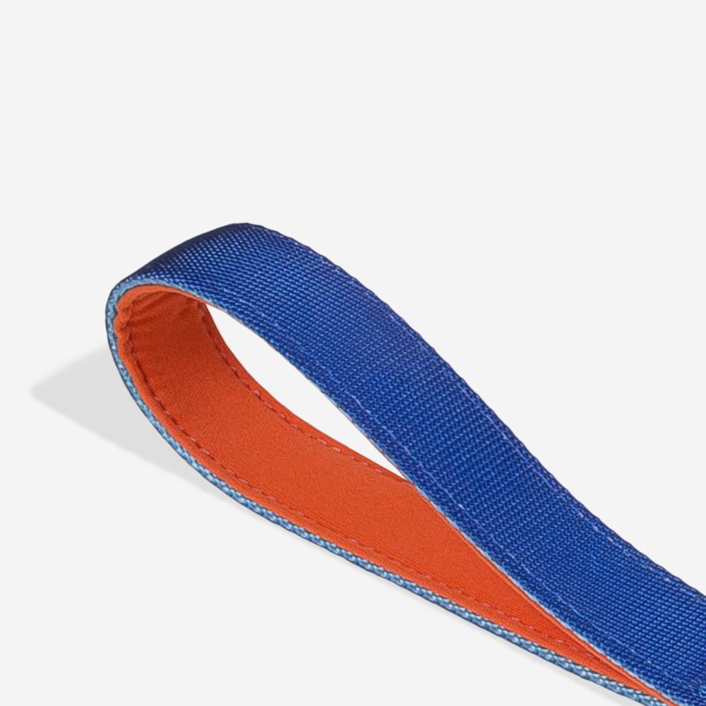 Correa Ruff con Amortiguador para Perros Orbit