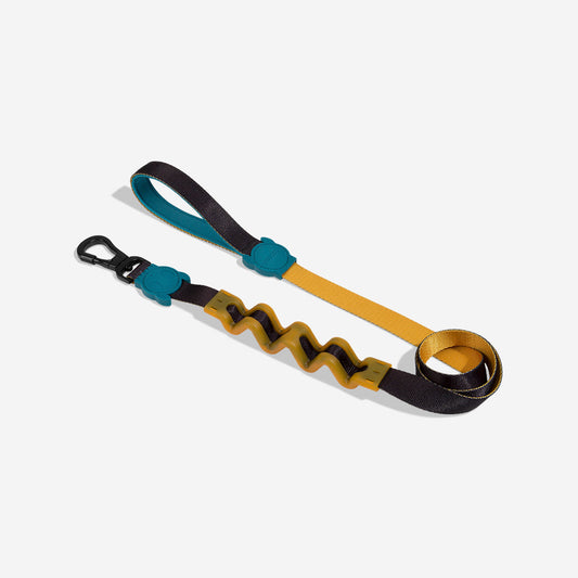 Correa Ruff con Amortiguador para Perros Valley