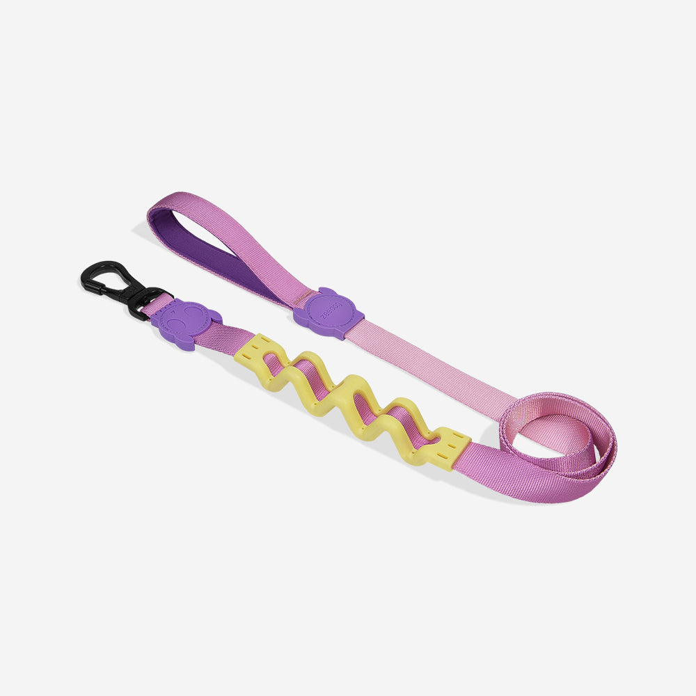 Correa Ruff con Amortiguador para Perros Yoko