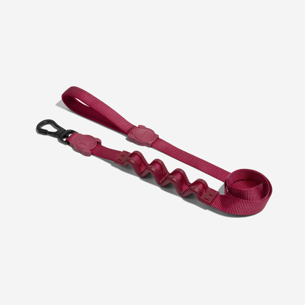 Correa Ruff con Amortiguador para Perros Bordeau