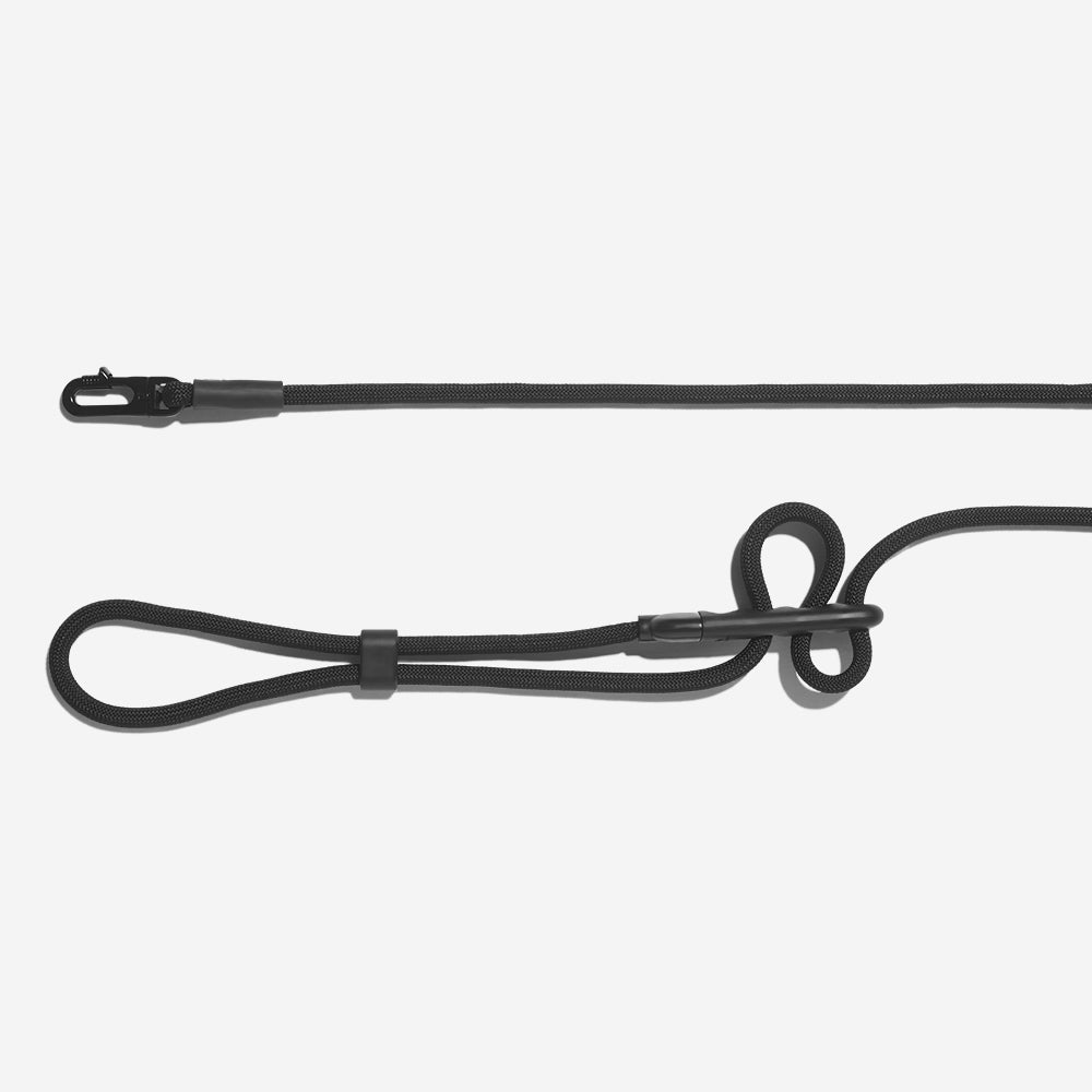 Correa Hands-Free para Perros Gotham