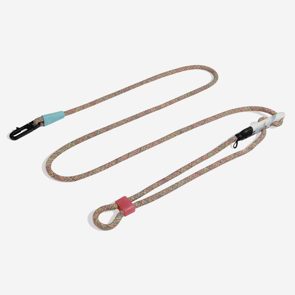 Correa Hands-Free para Perros Gravity