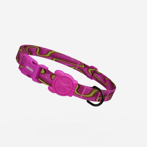Collar para Perros H3D Jelly