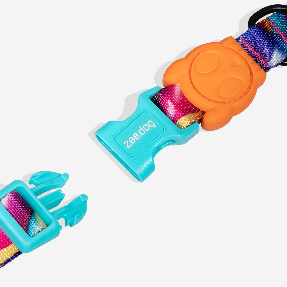 Collar para Perros H3D Bounce