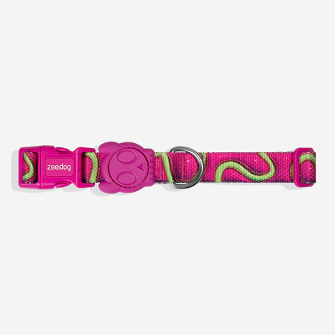 Collar para Perros H3D Jelly