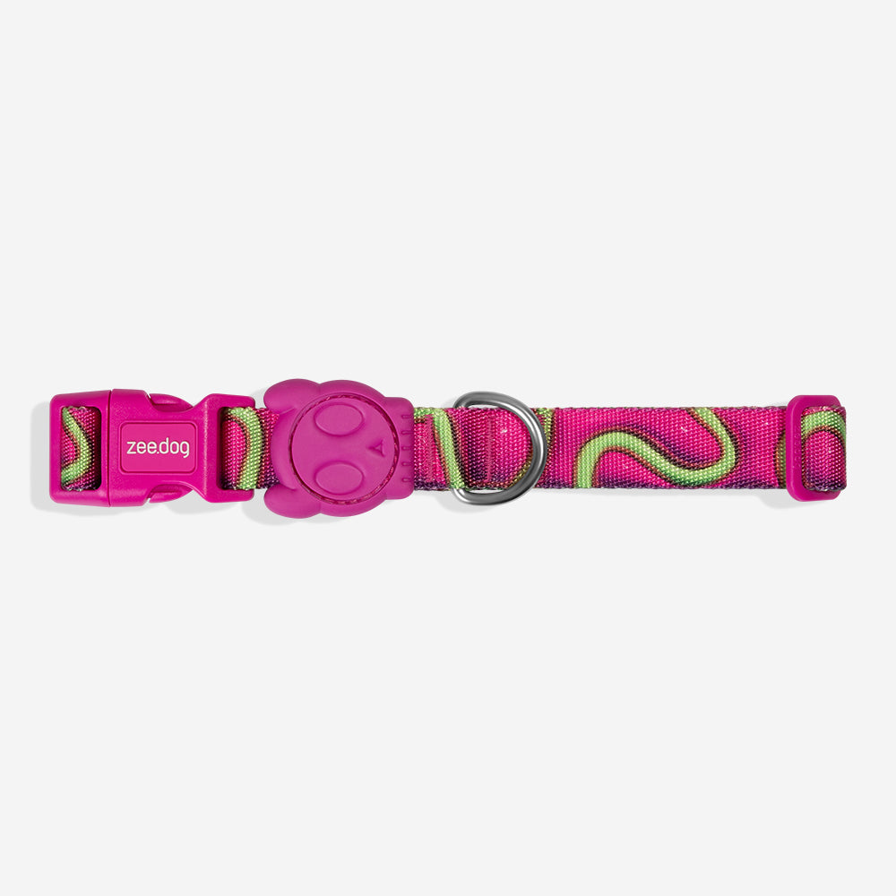 Collar para Perros H3D Jelly