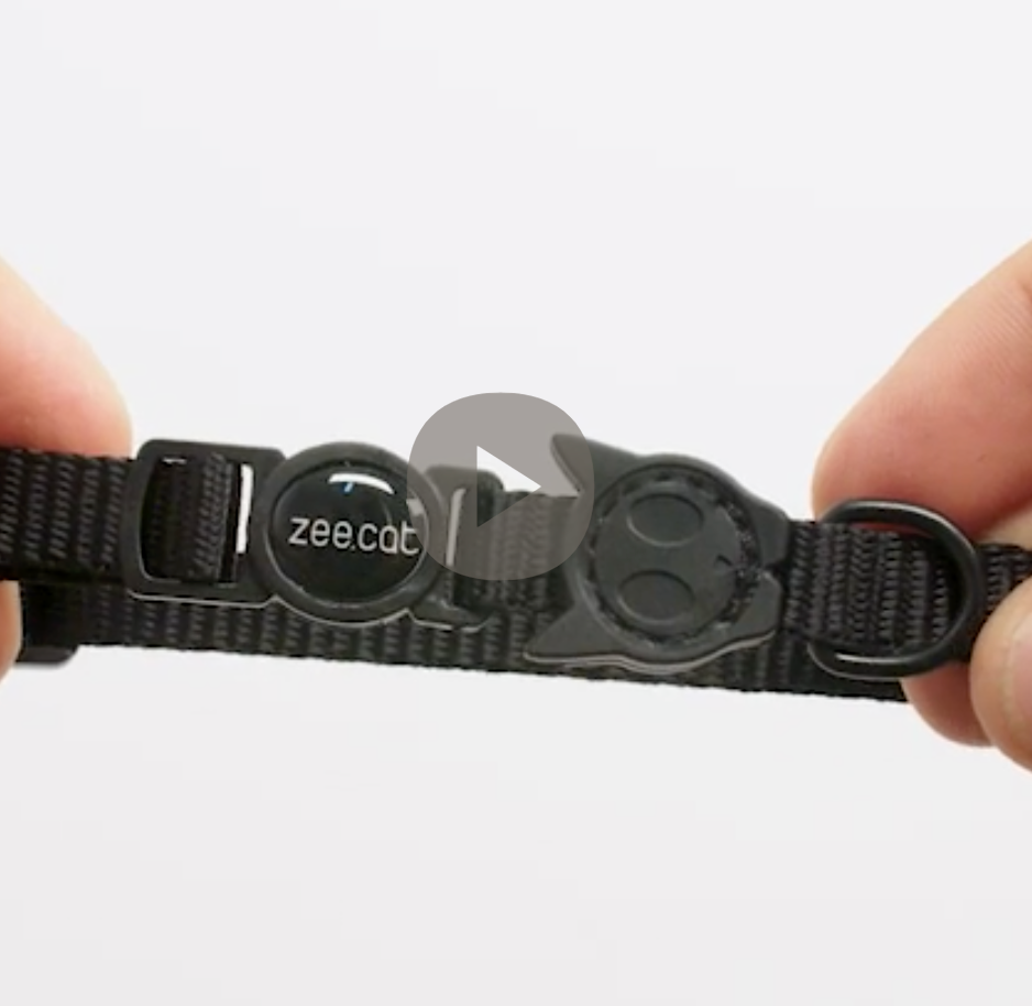 Collar para Gatos H3D Bounce