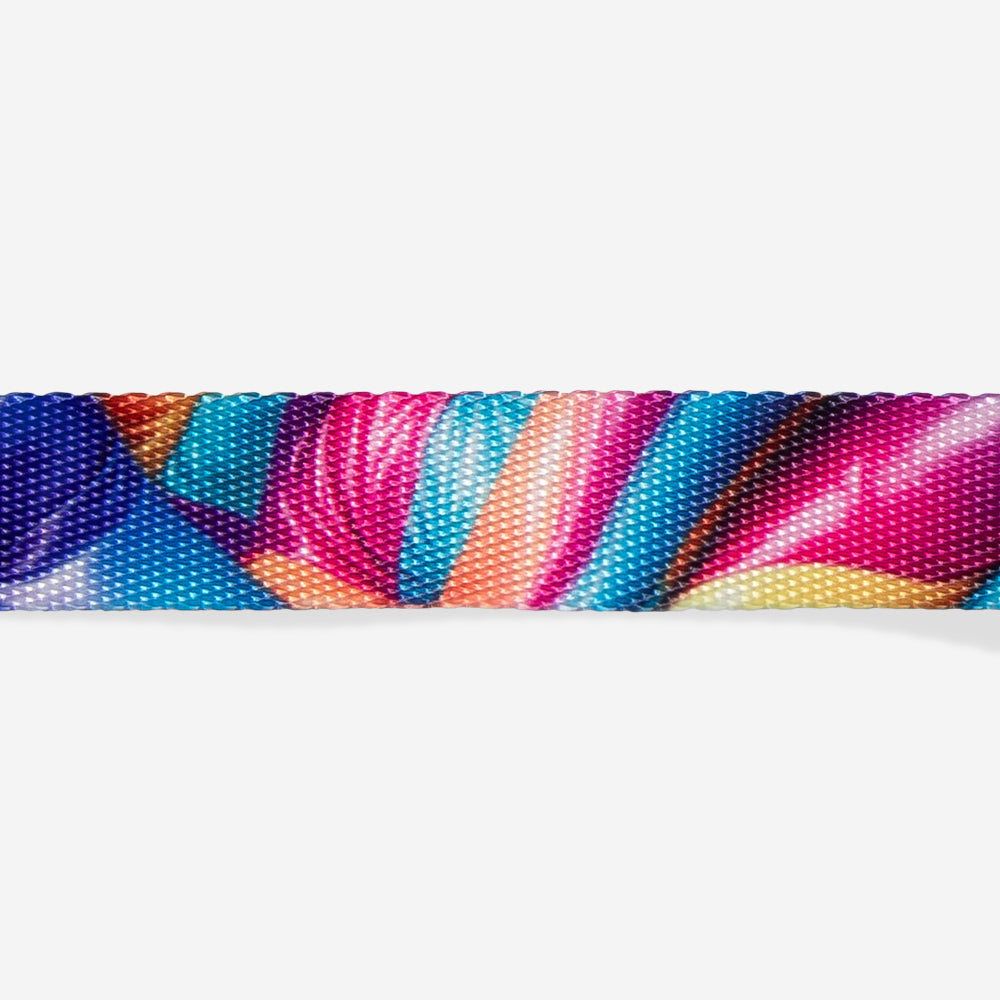 Collar para Gatos H3D Bounce